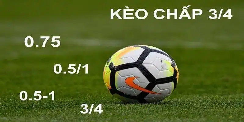 Kèo chấp 2 1/4 được rất nhiều người yêu thích hiện nay